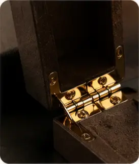 Hidden Hinge